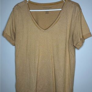 American Eagle Outfitters Tan and White Striped V-Neck Tee